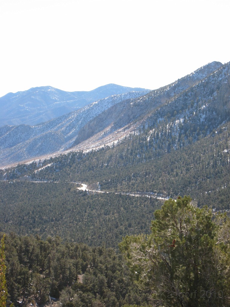 Las Vegas 2010 - Mt Charleston 0261.JPG - The 2010 Las Vegas Fire - Ice and Sweat Tour. Half Marathon, Red Rock Canyon, Casinos, Valley of Fire.... and buffets!
